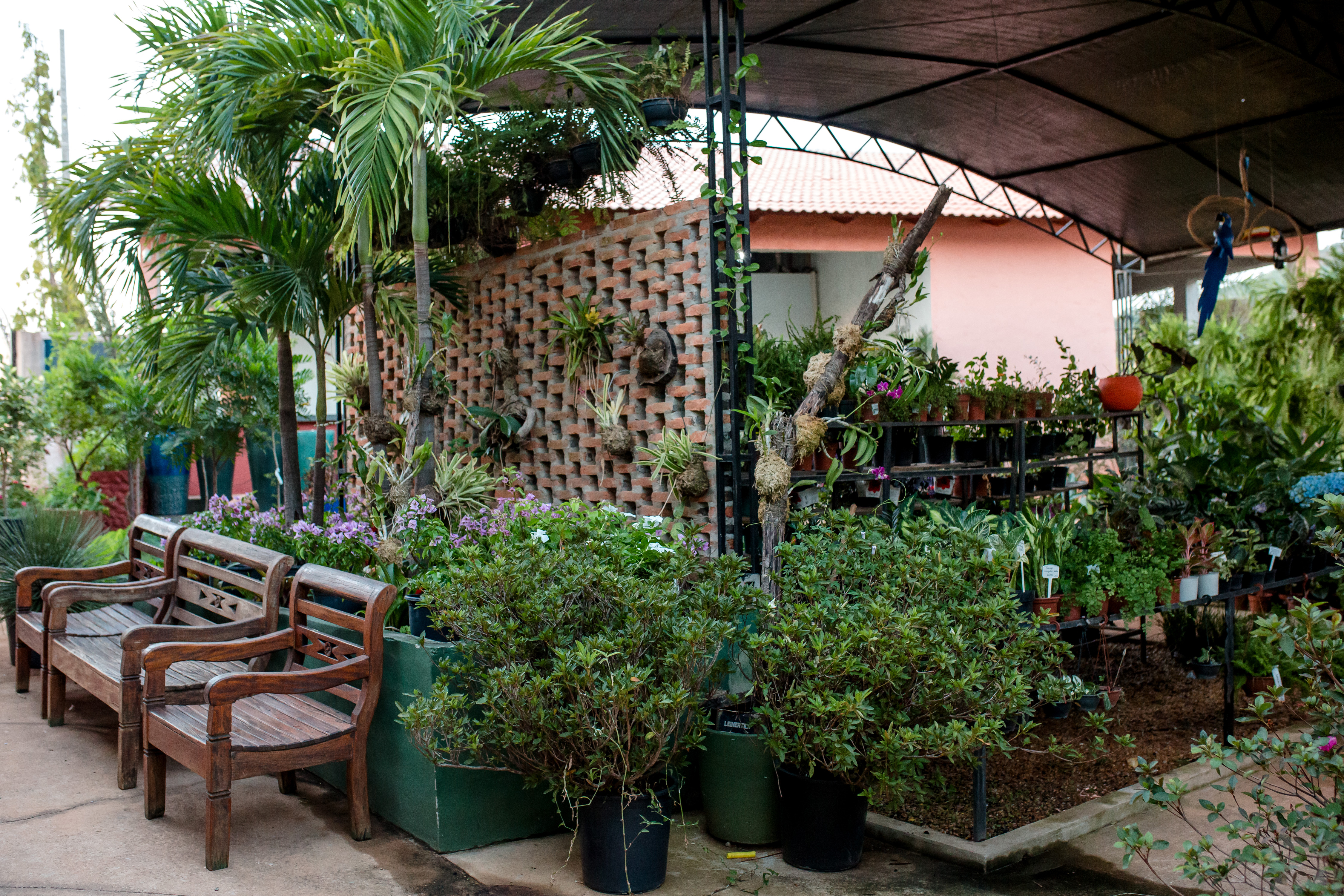 Foto da galeria 10 da Bella Casa Verde
