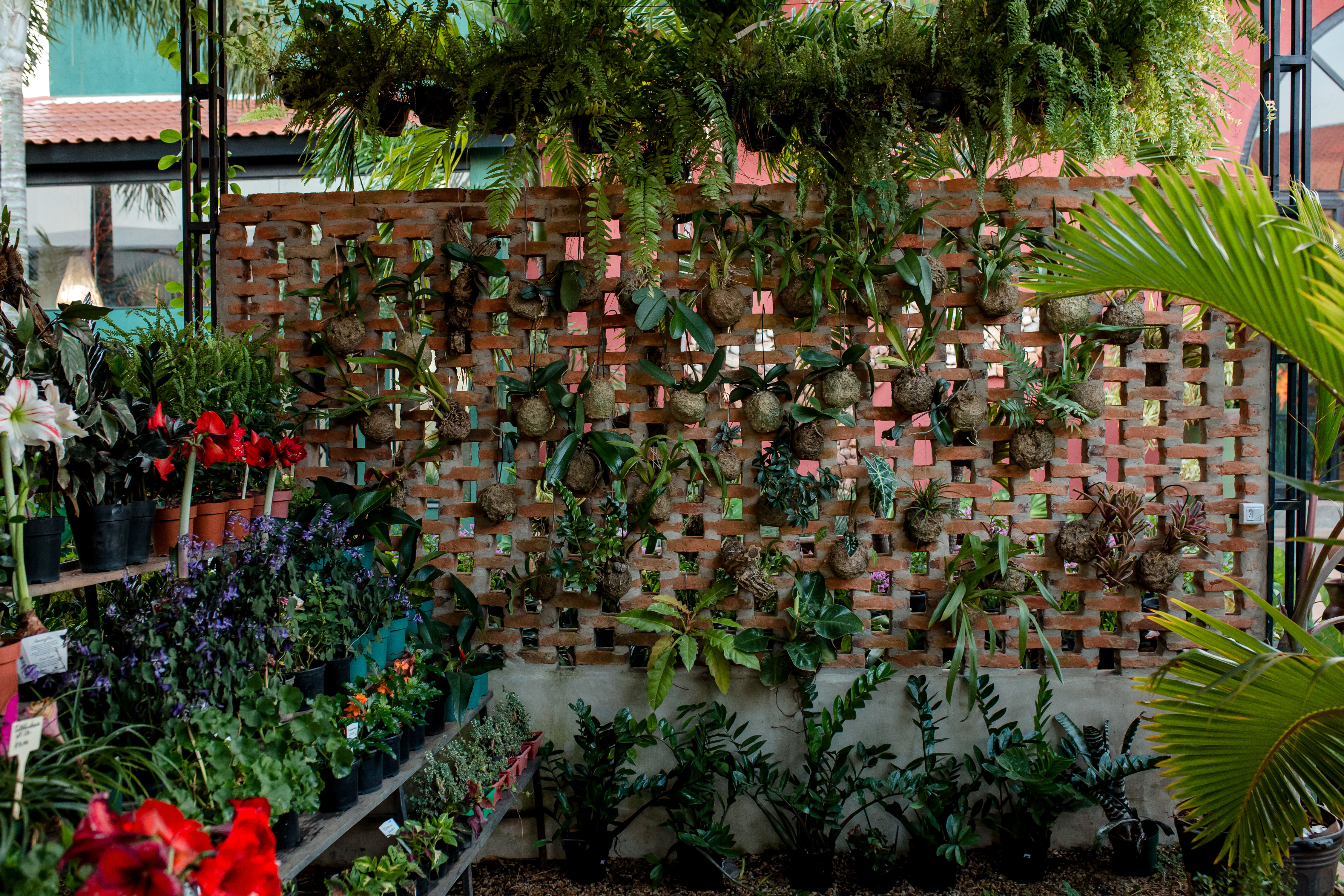 Foto da galeria 3 da Bella Casa Verde