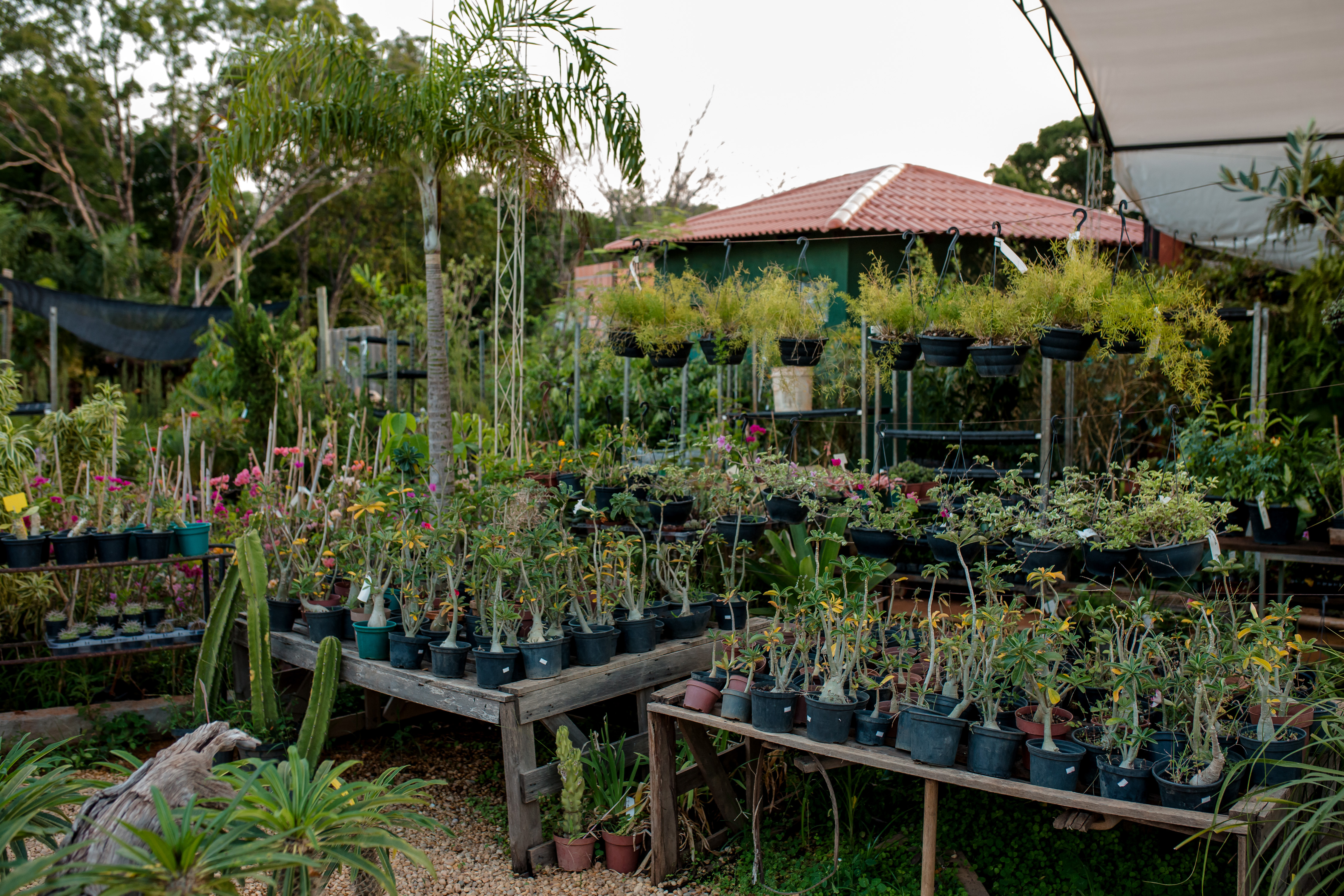 Foto da galeria 4 da Bella Casa Verde