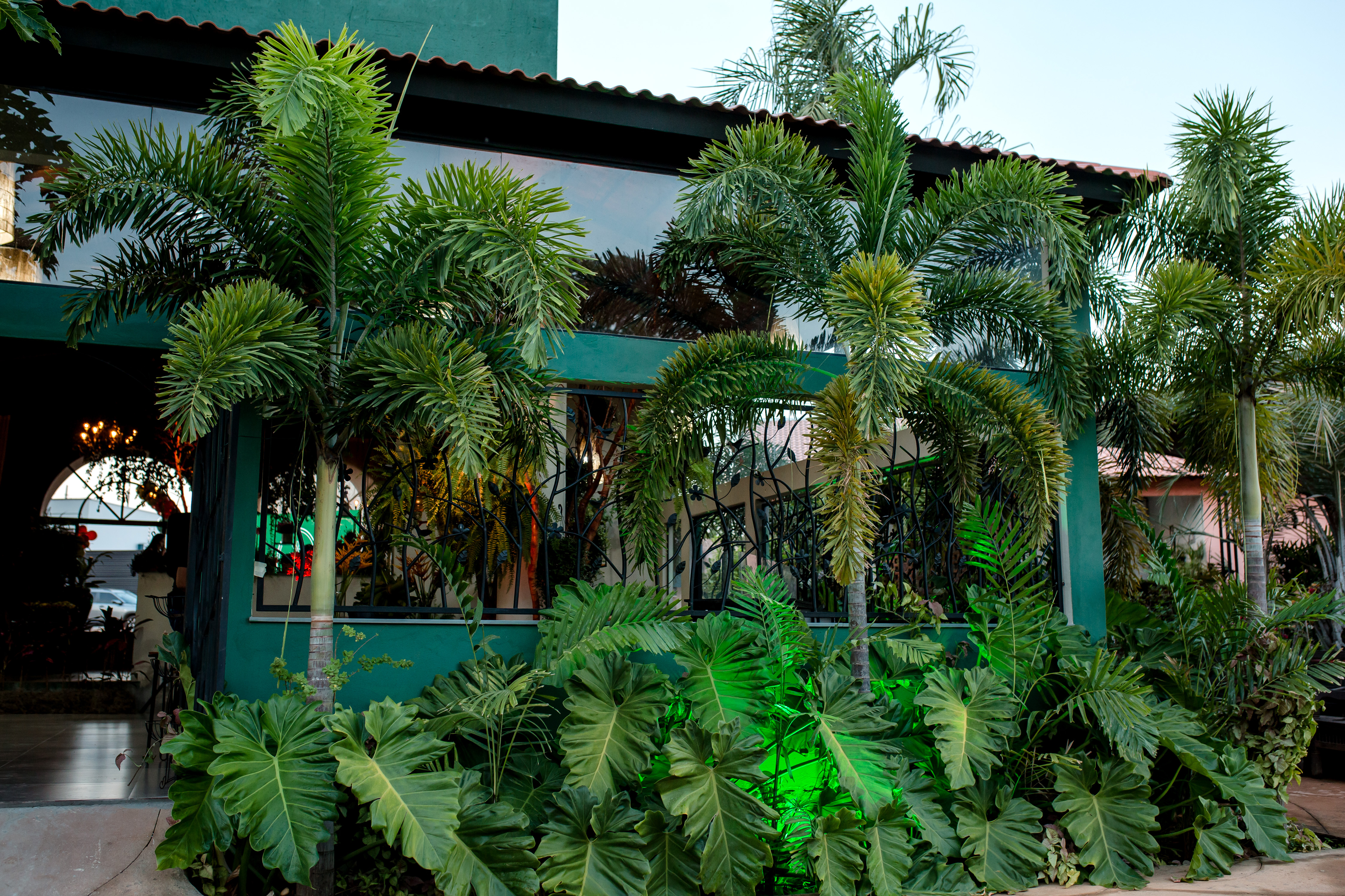 Foto da galeria 8 da Bella Casa Verde