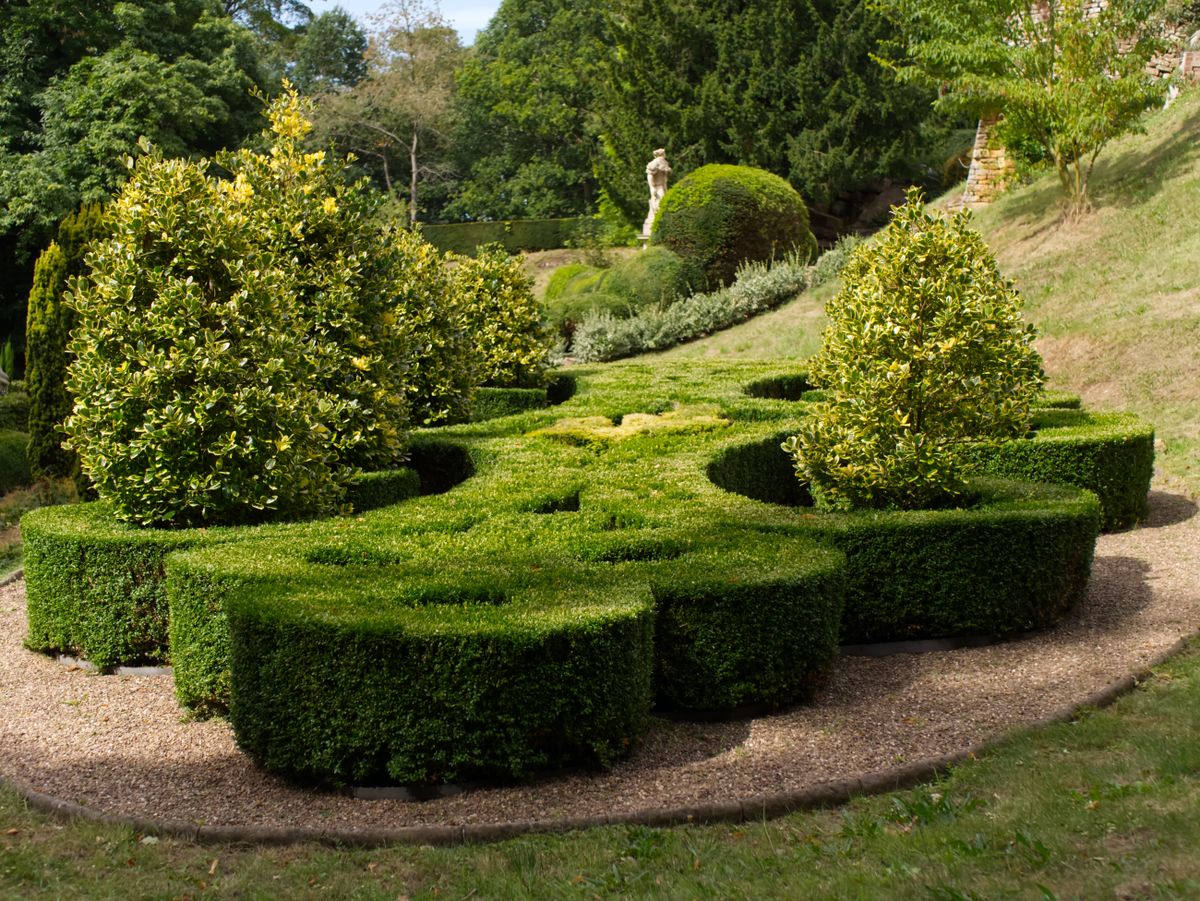 Jardim com topiaria e paisagismo